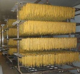 烘干設備節能報價 廠家